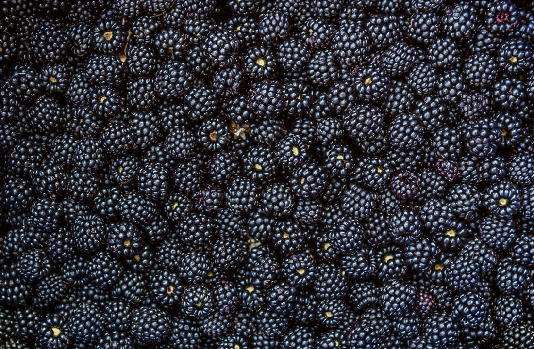 Les Mulberries